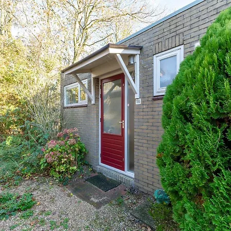 Dune 186 On Edge Of Park Duinland * Sint Maartensvlotbrug