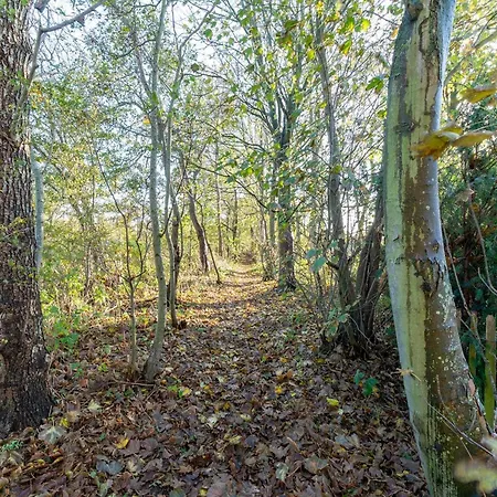 Dune 186 On Edge Of Park Duinland * Sint Maartensvlotbrug